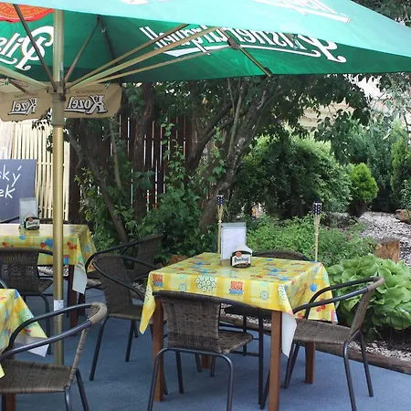 Guest house Ambrozie *