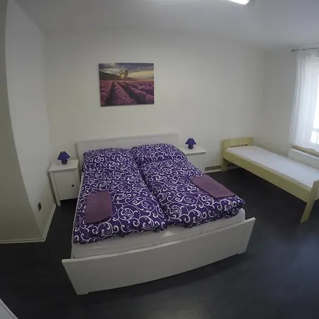 Guest house Ambrozie Sec